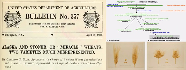Charles Taze Russell Y El Trigo Milagroso