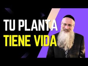 La Kabalah La Mística Hebrea Original 2026