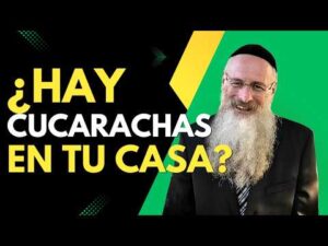 La Kabalah La Mística Hebrea Original 2026