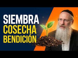 La Kabalah La Mística Hebrea Original 2026