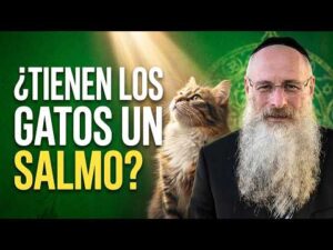 La Kabalah La Mística Hebrea Original 2026