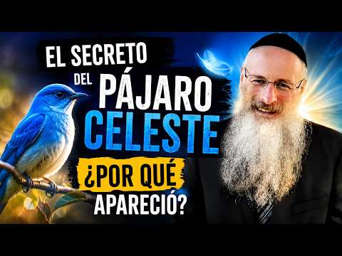 La Kabalah La Mística Hebrea Original 2026