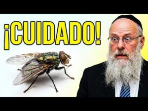 La Kabalah La Mística Hebrea Original 2026
