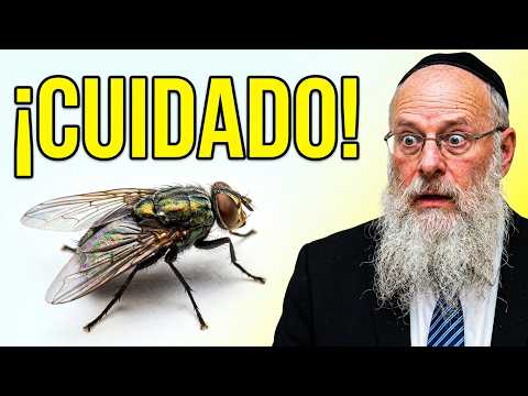 La Kabalah La Mística Hebrea Original 2026
